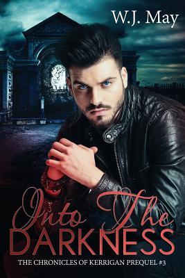 Read online Into the Darkness: Paranormal Fantasy Romance - W.J. May file in ePub