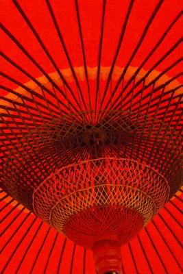 Read online Website Password Organizer Beneath a Red Parasol Umbrella: Password/Login/Website Keeper/Organizer Never Worry about Forgetting Your Website Password or Login Again! - NOT A BOOK file in ePub