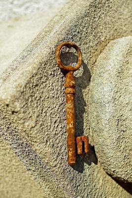 Read A Rusted Antique Key: Blank 150 Page Lined Journal for Your Thoughts, Ideas, and Inspiration - NOT A BOOK | ePub