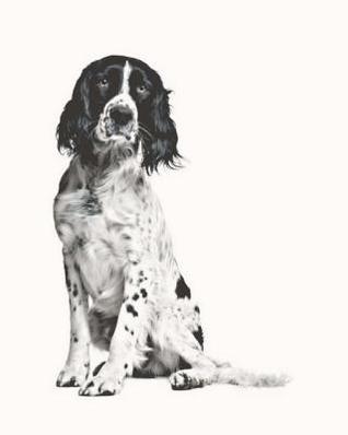 Read English Springer Spaniel: Artified Pets Dog Journal/Notebook/Diary - NOT A BOOK | PDF
