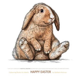 Download Colouring Book for Adults Happy Easter: Colouring Books for Adults Christian in al; Adult Coloring Books Alice in Wonderland in a; Adult Coloring  Christian in al; dolphins elephants in al - Baldwin Avenue file in ePub