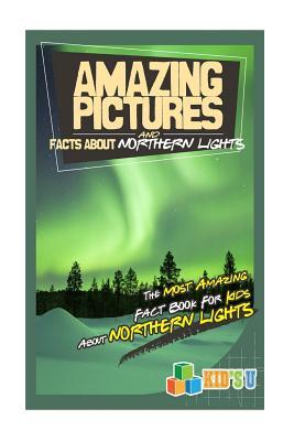 Read online Amazing Pictures and Facts about the Northern Lights: The Most Amazing Fact Book for Kids about the Northern Lights - Mina Kelly file in ePub