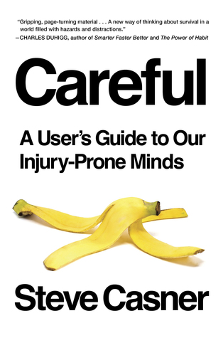 Download Careful: A User's Guide to Our Injury-Prone Minds - Steve Casner file in PDF