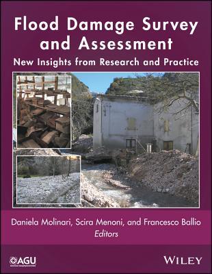 Read online Flood Damage Survey and Assessment: New Insights from Research and Practice - Daniela Molinari file in PDF