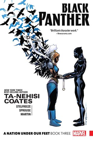 Read Black Panther: A Nation Under Our Feet, Book 3 - Ta-Nehisi Coates file in PDF