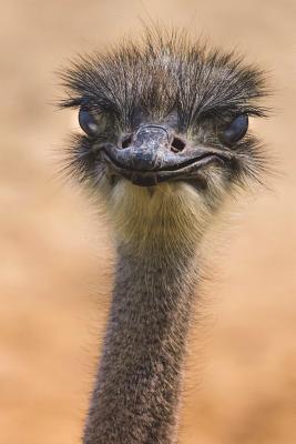 Download Ostrich Portrait Journal: 150 Page Lined Notebook/Diary - NOT A BOOK | ePub