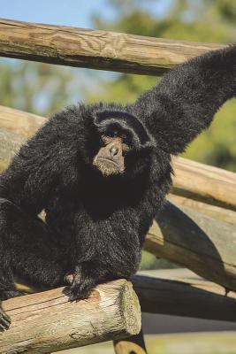 Download Siamang Gibbon Journal: 150 Page Lined Notebook/Diary - NOT A BOOK | PDF
