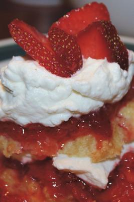 Download Strawberry Shortcake Journal: 150 Page Lined Notebook/Diary - NOT A BOOK | ePub