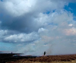 Download Setting the Fell on Fire: Allenheads Contemporary Arts. [Edited by Tracey Warr  [Et Al.]] - Tracey Warr file in ePub